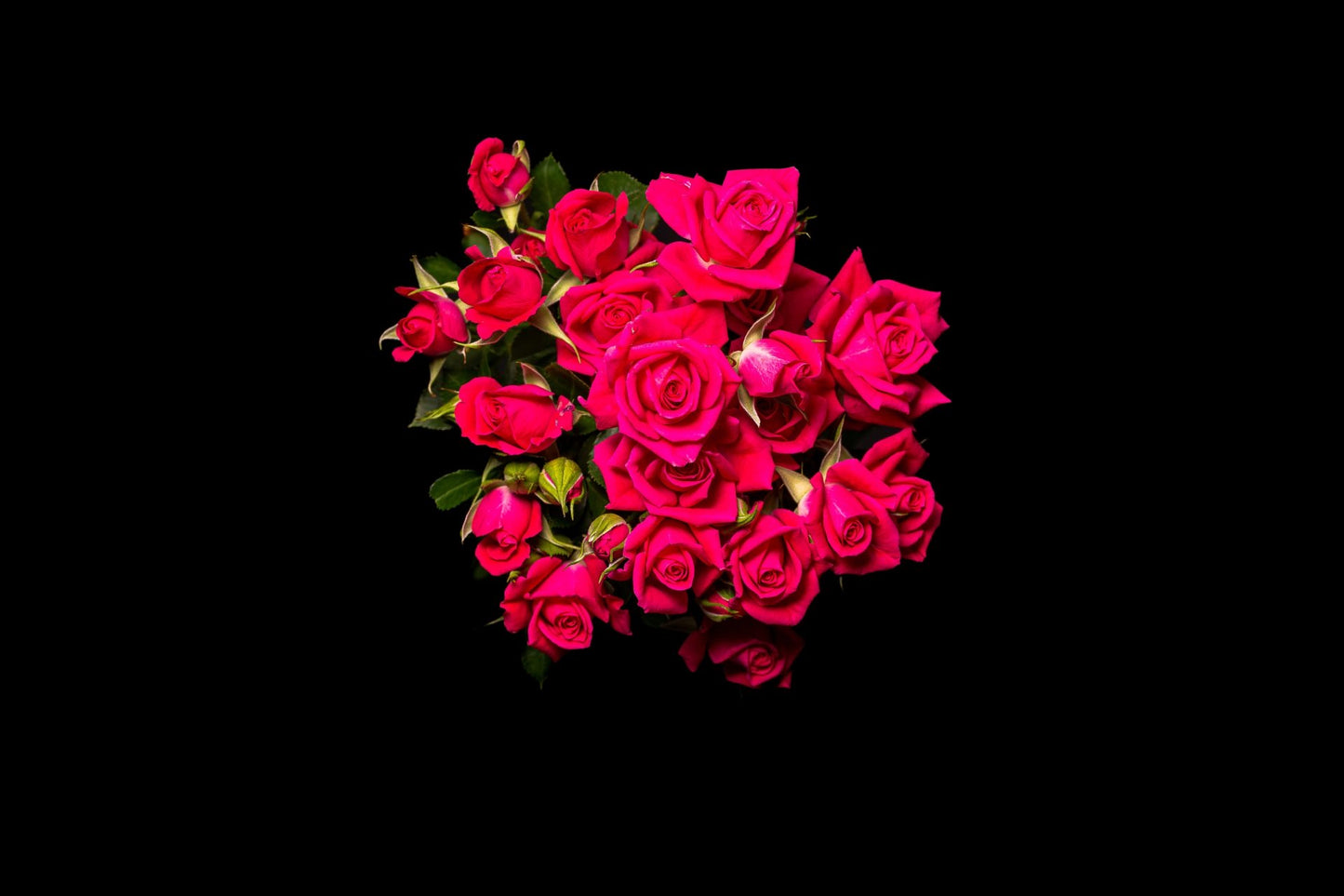 Spray Roses