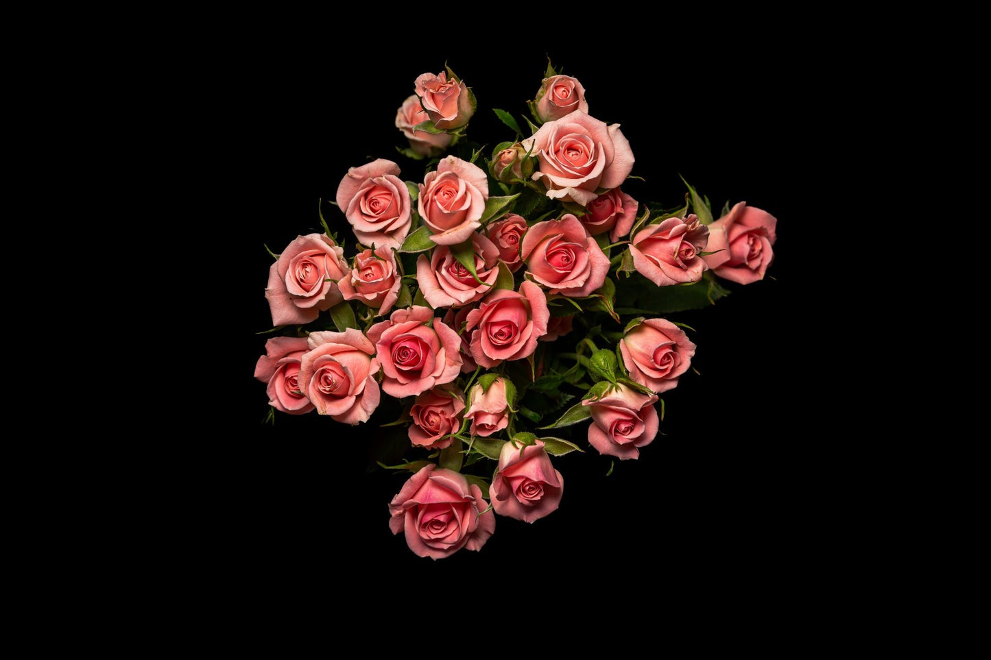 Spray Roses