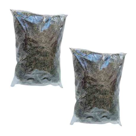 Moss in bag fresh