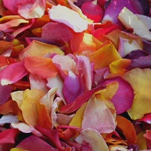Broken Rose Heads Mix