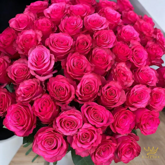 "Radiant Cerise Delight"