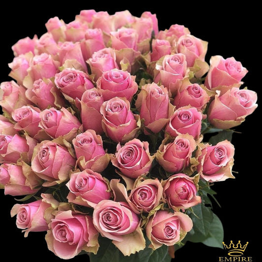 "Blushing Elegance"